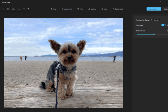 Microsoft Photos: inteligencia artificial al servicio de nuestras fotos