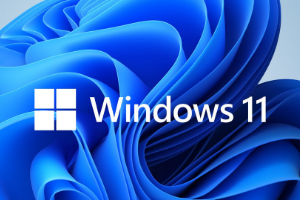 Microsoft is still developing the Windows 11 File Explorer