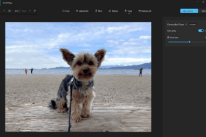 Microsoft Photos: искусственный интеллект на службе у наших фотографий